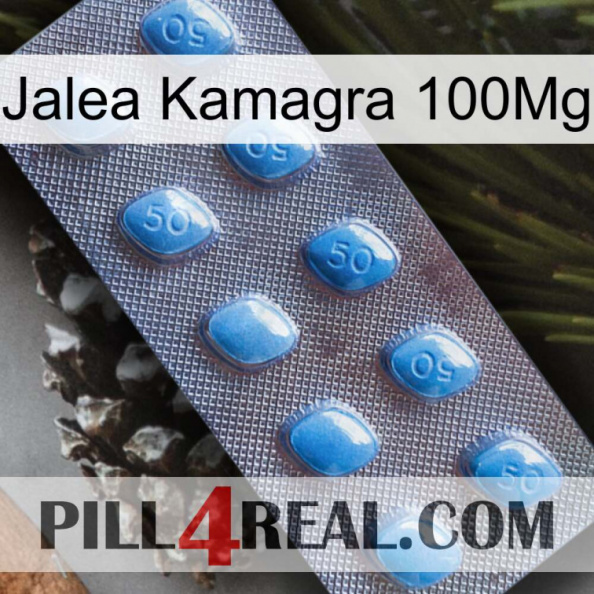 Jelly Kamagra 100Mg viagra3.jpg